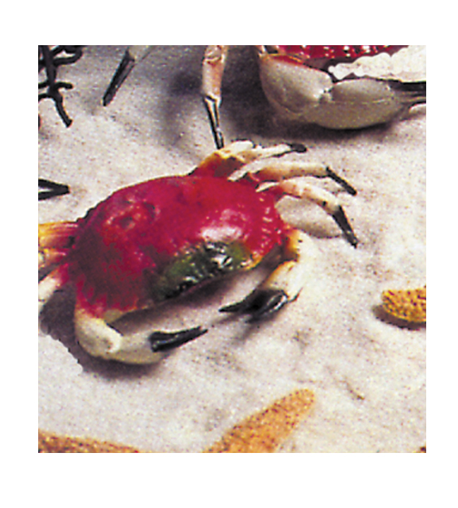 Small Crab Prop 8"